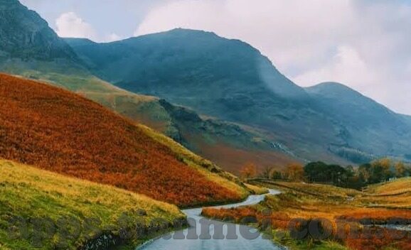 2021国产麻豆剧传媒仙踪林-国产影视领域新亮点，2021年仙踪林文化现象透视