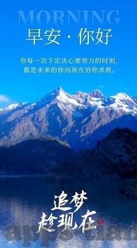 91麻豆居家隔离时的好伙伴-91麻豆，居家隔离期间的温暖陪伴者