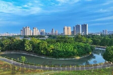 av麻豆免费-多媒体时代的娱乐与界限——理性探索AV麻豆的数字文化
