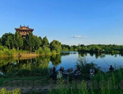 av无码一区二区三区-探索网络世界的边界，一区、二区、三区的多元视角