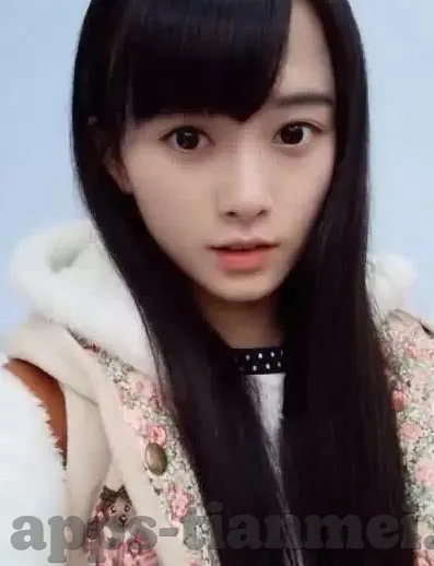 大象传媒观看网站-探索大象传媒观看网站的多元魅力