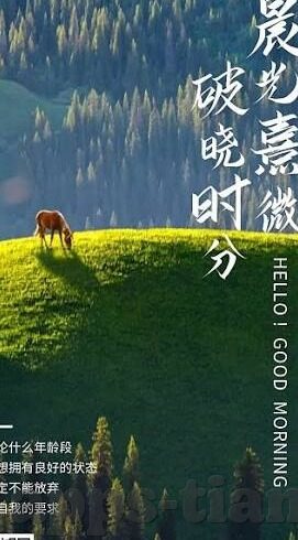 麻豆视频传媒app下载-清除网络云雾，了解麻豆视频传媒APP背后的真相