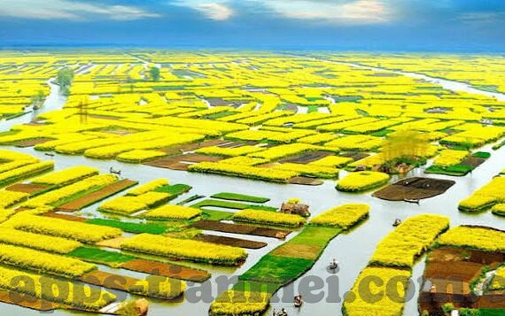麻豆视频破解版蓝奏云-自媒体时代的灰色地带与版权意识——解析麻豆视频破解版蓝奏云事件