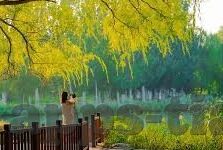 亚洲AV日韩AV无码导航-亚洲AV日韩AV无码导航，文化与娱乐的交汇点